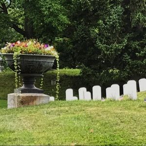 Meet your Posher, Nora